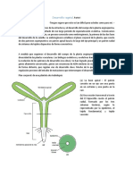 Desarrollo Vegetal