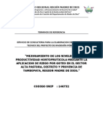 Mejoramiento de Los Niveles de Productividad Hortofruticola Mediante La Aplicacion de Riego Por Goteo en El Sector Alta Pastora, Distrito y Provincia de Tambopata, Region Madre de Dios