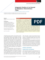 Morphology and Phylogenetic Position of An Unusual Stentor Polymorphus (Ciliophora: Heterotrichea) Without Symbiotic Algae