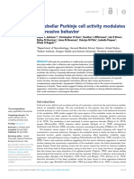 Cerebellar Purkinje Cell Activ