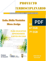 Proyecto Interdisciplinario Basica Media