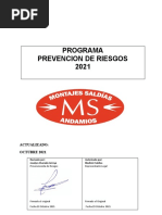 Programa de Prevencion Original Bladimir Saldias