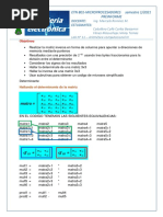 PREINFORME 11 Aritmetica Computacional LLL GRUPO L3 ETN801