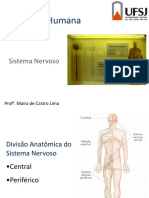 Sistema Nervoso Central e Periférico