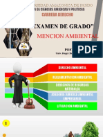 Examen de Grado Ambiental 2021