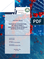 Montaje de La Estructura Del Adn en Papel y Verificacion de La Secuencia Genetica en El Blast