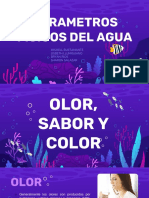 Presentación Parametros Fisicos Del Agua