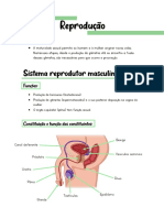 Resumos de Biologia - Reprodução