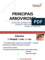 Aula 13-10 - Principais Arboviroses