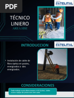 Técnico Liniero