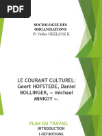 Courant Culturel École de Geert Hofstede