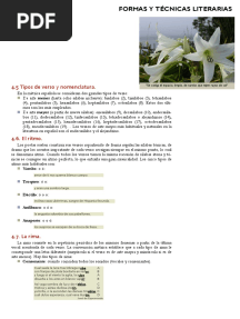 Tipos de Versos