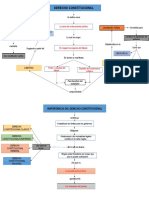 Mapa Conceptual Derecho Constitucional