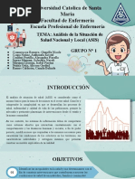 1.análisis de La Situación de Salud Nacional y Local (ASIS) - GRUPO 1