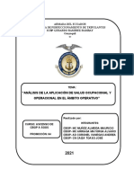 Análisis de Aplicación de La Seguridad y Salud Ocupacional en El Ambito Laboral