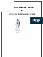 Project Report On Capital Structure