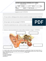 Ciencias Prova 2º Tri