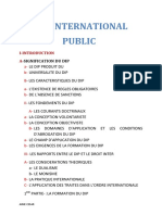 Droit International Public