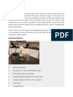 Ex. 2 Photosynthesis