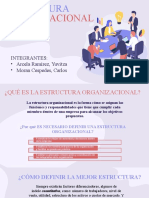 ESTRUCTURA ORGANIZACIONAL de PYMES