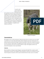 Mangalica - Wikipedia, La Enciclopedia Libre