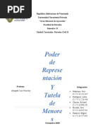 Derecho Civil II (Poder de Representacion)