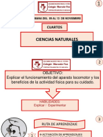 4° Ciencias PPT Semana30