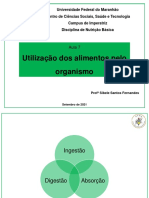 Aula 7 - Utilização de Alimentos Pelo Organismo