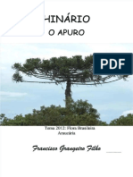 O Apuro - Francisco Grangeiro