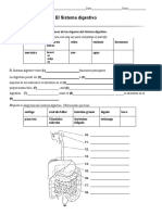 Taller de Repaso - Sistema Digestivo Grado Quinto