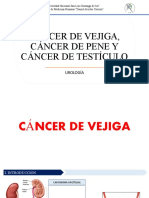 Cáncer de Vejiga. Pene y Testiculo