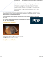 Guia de Aves en Colombia - Foto Con Nombre Comun y Cientifico PDF