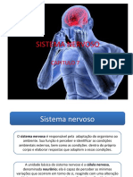 Sistema Nervoso e As Principais Doenças