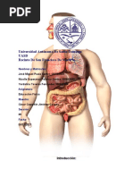 El Sistema Digestivo y Respiratorio