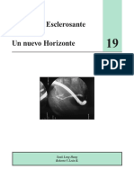 Colangitis Esclerosante Primaria