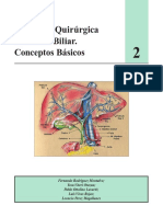 Anatomía Qx2