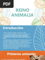 Reino Animal 11° Biología 2do Trim. 2021