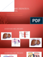 Exposicion Sindrome Hepatico