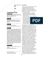 SME and Large Organisation Perceptions of Knowledge Management: Comparisons and Contrasts