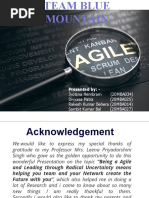 Agile Presentation