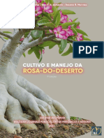 Rosa Do Deserto Livro