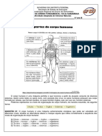 Atividade Corpo Humano 4 Bimestre Sexto Ano