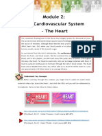 NUMC 101B The Heart Introduction