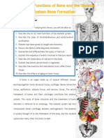 Skeletal System Lesson 2