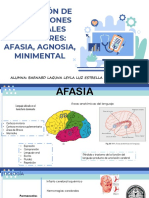 DÍA 2. Afasia, Apraxia Agnosia y Minimental Leyla Barnard Laguna