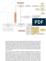 Pathophysiology of Hemorrhoids