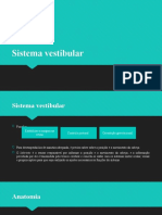 Sistema Vestibular 