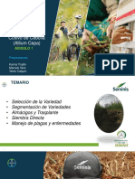 Charla Cebolla F 2021 PDF - PDF Versión 1