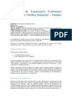 Requisitos e Informacion - Programa de Experiencia Profesional Enfocado en Pueblos Indígenas Bolivia 2022 Final