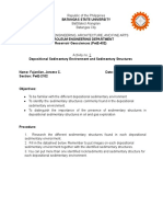 FAJANILAN JEROME C.activityno.2 Depositional Sedimentary Environment and Structures